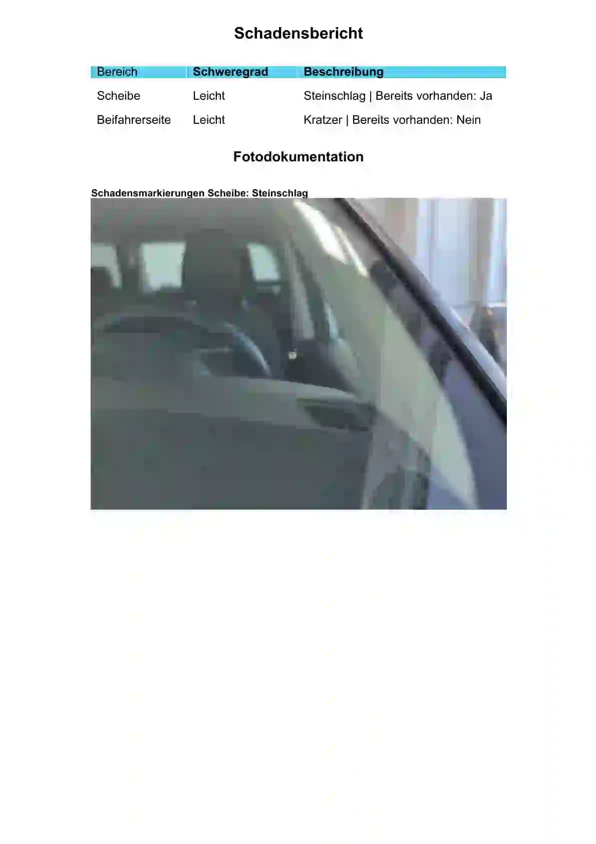 Schadensbericht mit Steinschlagfoto